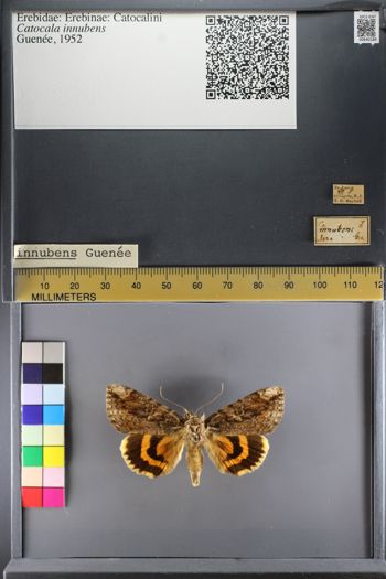 Media type: image;   Entomology 640189